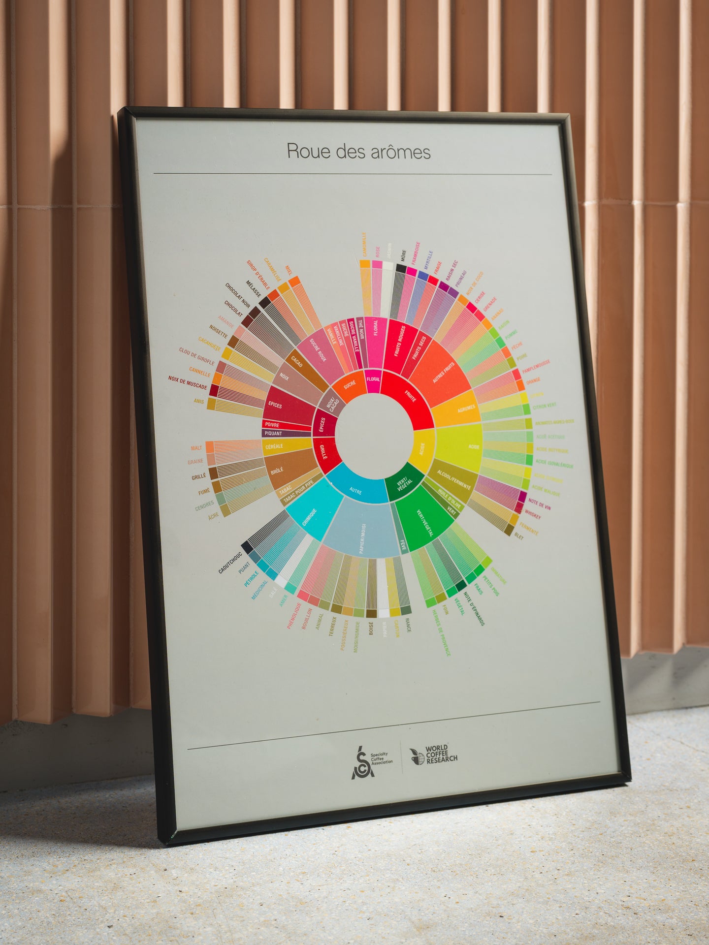 Roue des aromes café-la maison du barista
