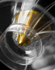 Sibarist booster Cone