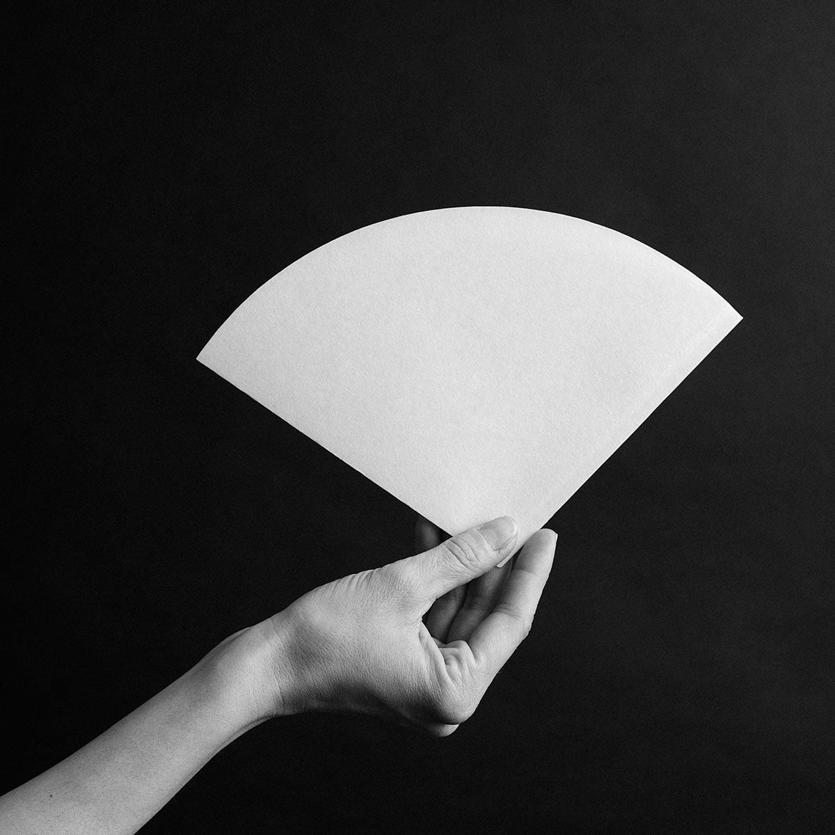 Sibarist filtre Cone